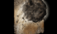 《艾尔登法环》古兰格的岩石获取方法介绍(艾尔登法环古遗迹降雪谷)