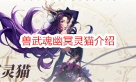 《斗罗大陆：史莱克学院》兽武魂幽冥灵猫介绍(斗罗大陆史莱克学院手游)