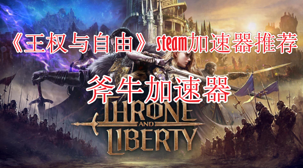 王权与自由steam加速器哪个好，steam王权与自由稳定好用的加速器分享