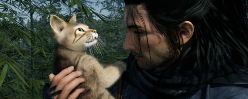 《浪人崛起》下载安装教程介绍