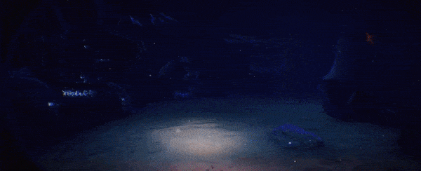 《深渊恐惧》游戏特色内容介绍