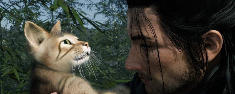 《浪人崛起》流派克制关系介绍