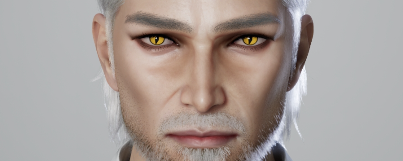 《inZOI》猎魔人捏脸分享