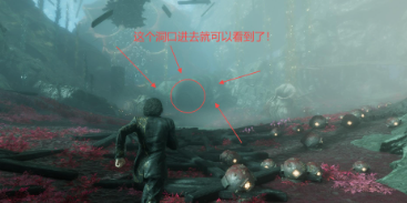 《光与影：33号远征队》白色经怪雷灵支线攻略分享