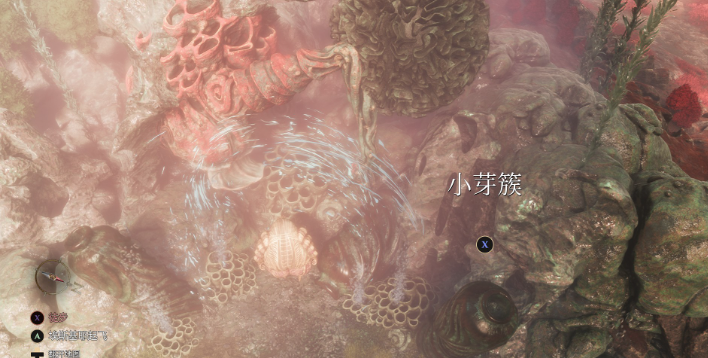 《光与影：33号远征队》白色经怪芽簇支线攻略分享