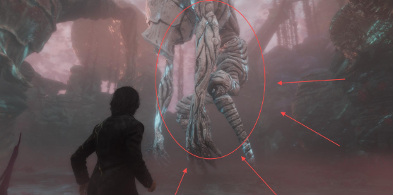 《光与影：33号远征队》白色经怪芽簇支线攻略分享