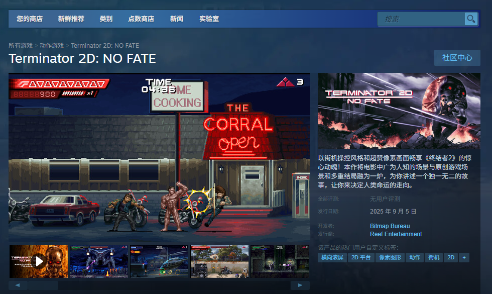 《终结者2D：无命》下载安装教程介绍