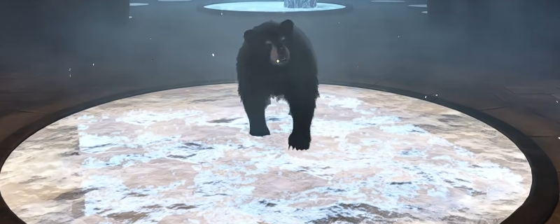 《上古卷轴4：湮灭重制版》黑熊召唤法术获得方法介绍