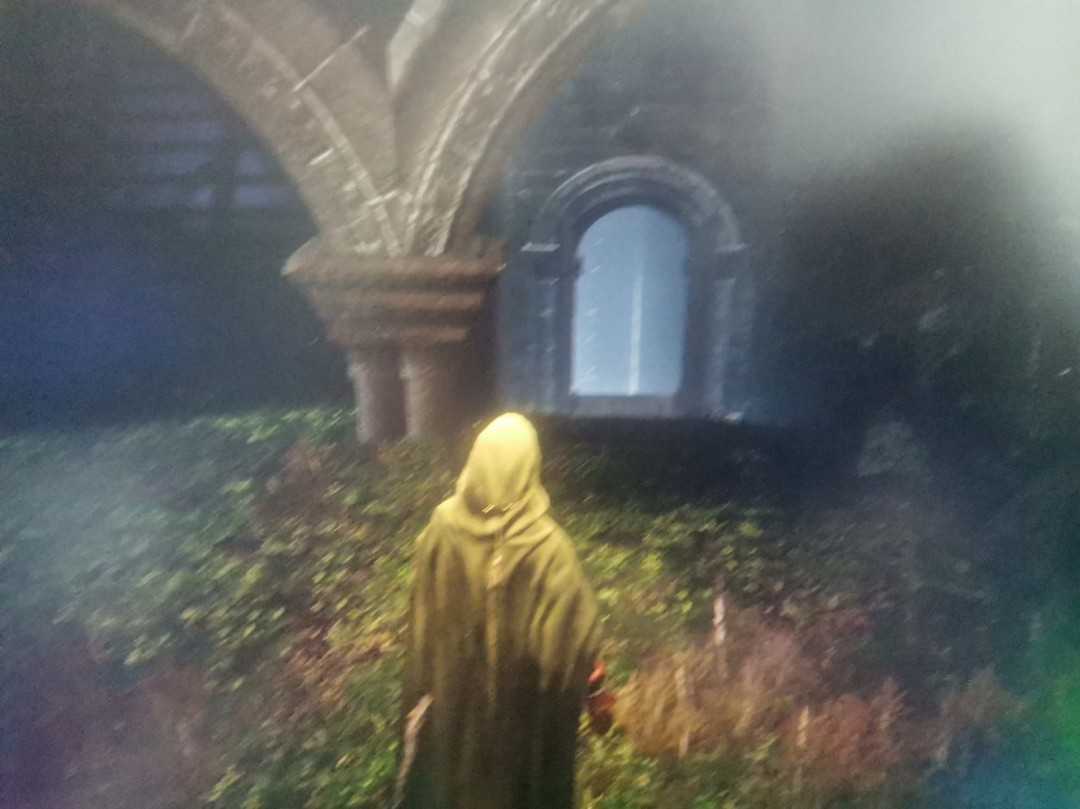 《艾尔登法环：黑夜君临》隐士追忆支线攻略分享