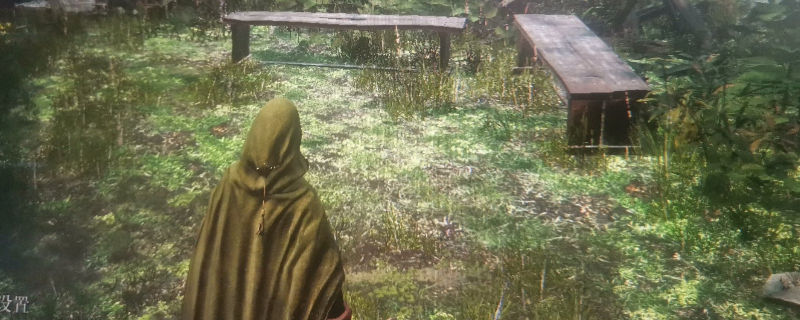 《艾尔登法环：黑夜君临》隐士追忆支线攻略分享