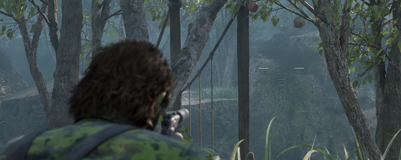 《合金装备3：重制版》养蜂专家成就攻略分享