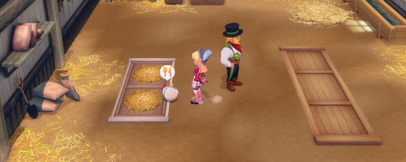 《牧场物语 来吧！风之繁华集市》灾害后果及预防方法介绍