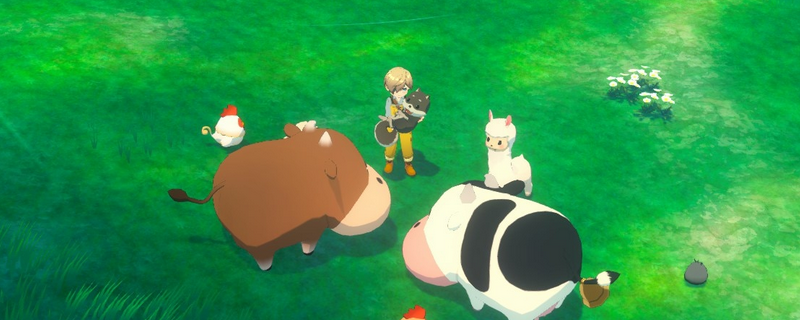 《牧场物语 来吧！风之繁华集市》农作物种子获得方法介绍