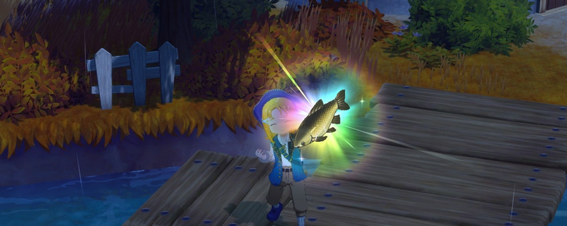 《牧场物语 来吧！风之繁华集市》游戏全鱼类特点介绍