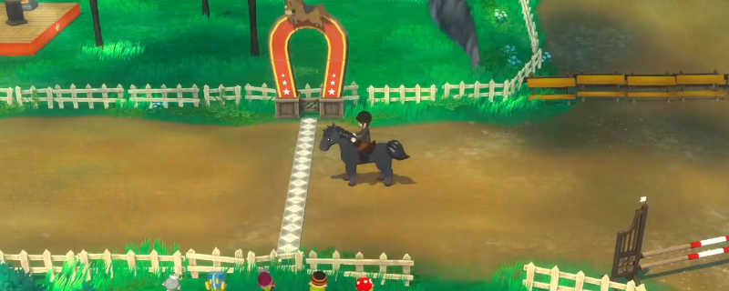 《牧场物语 来吧！风之繁华集市》冬季赛马大会攻略分享