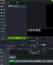 Camtasia2024中动态花字字幕效果是什么(camtasia studio)